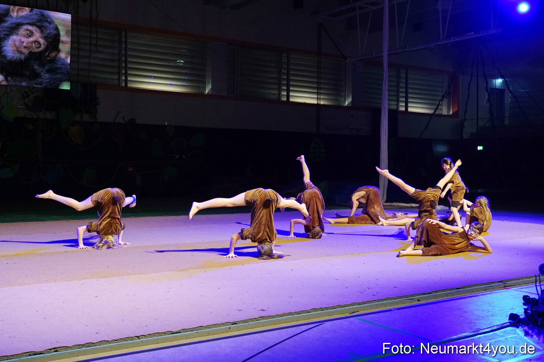 Artico Artistical Dschungelbuch 2020 0006